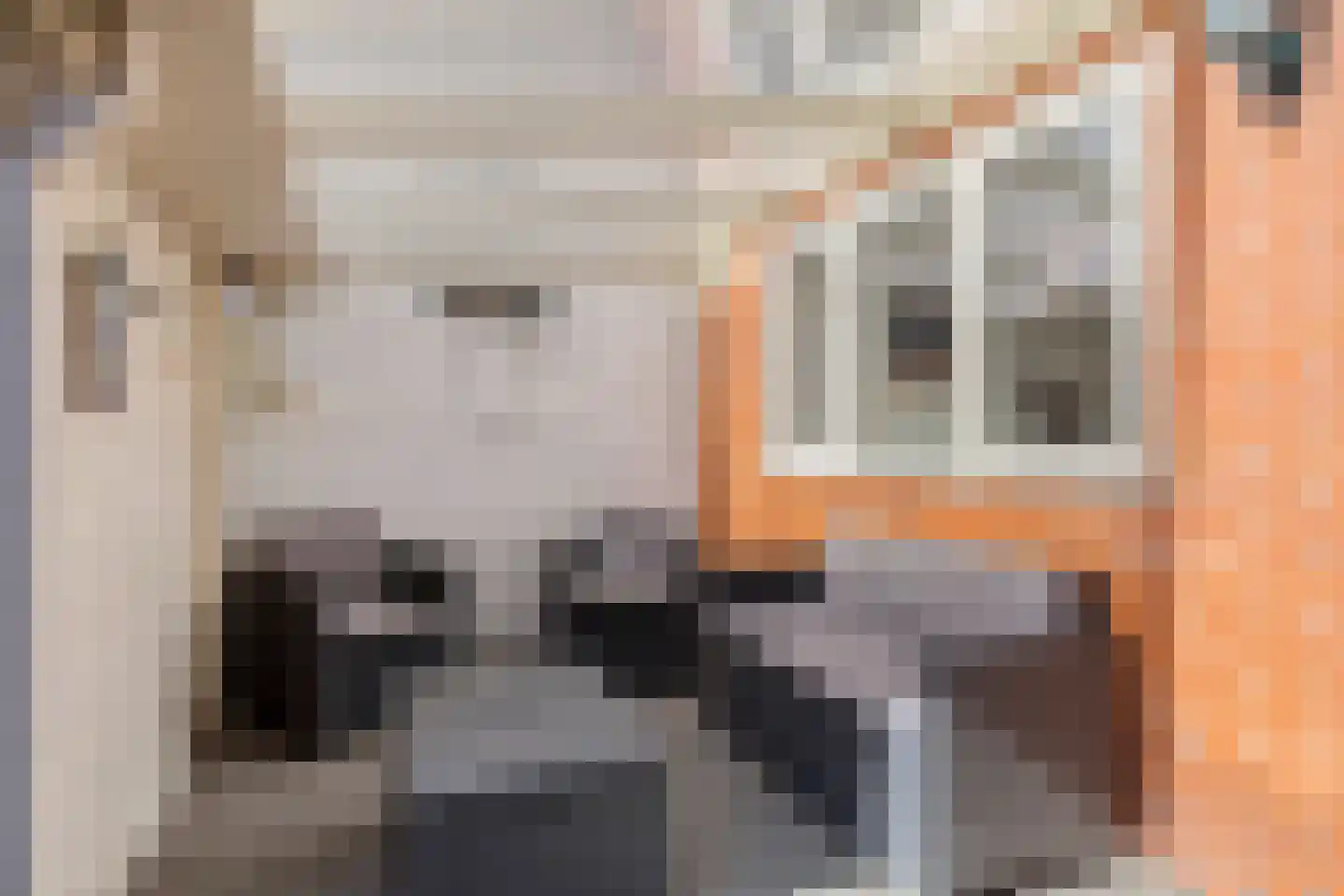 Oranjestraat 12 Eenrum thumbnail 32
