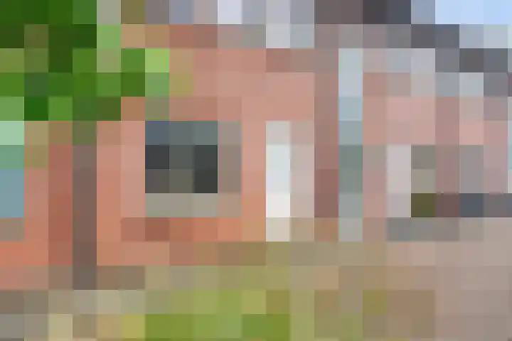 Oranjestraat 12 Piershil thumbnail 5