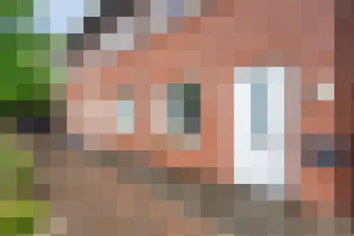 Oranjestraat 12 Piershil thumbnail 6
