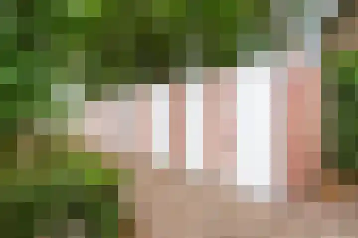 Oranjestraat 12 Piershil thumbnail 7