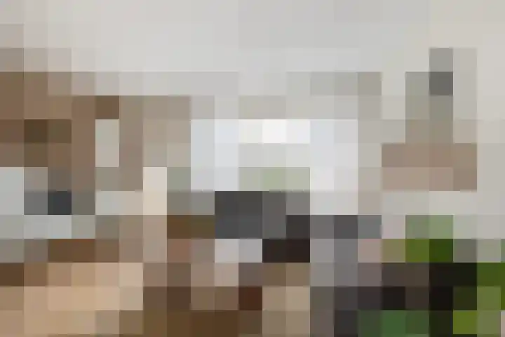 Oranjestraat 12 Ridderkerk thumbnail 12