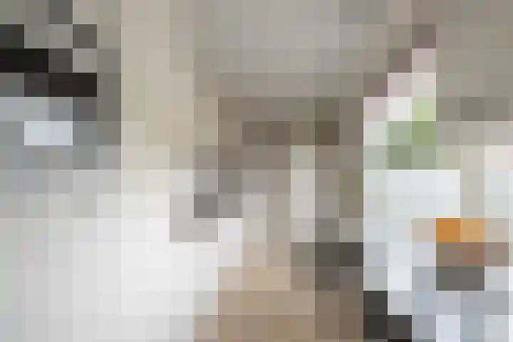 Oranjestraat 12 Ridderkerk thumbnail 13