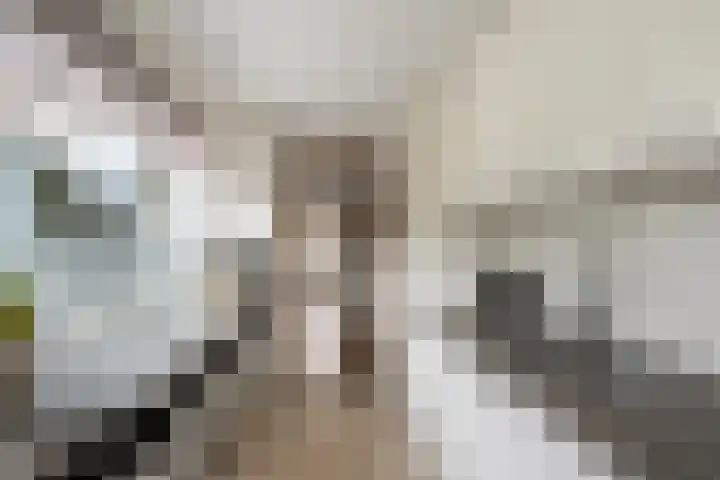 Oranjestraat 12 Ridderkerk thumbnail 14