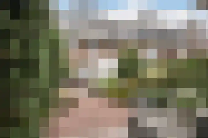 Oranjestraat 12 Ridderkerk thumbnail 18