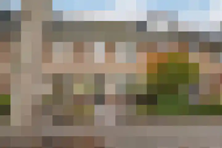 Oranjestraat 12 Ridderkerk thumbnail 34