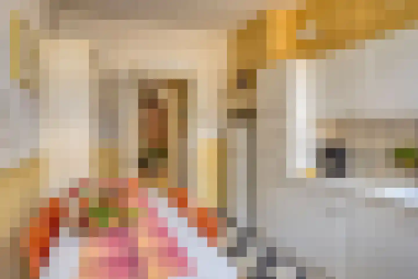 Oranjestraat 121 Arnhem thumbnail 10