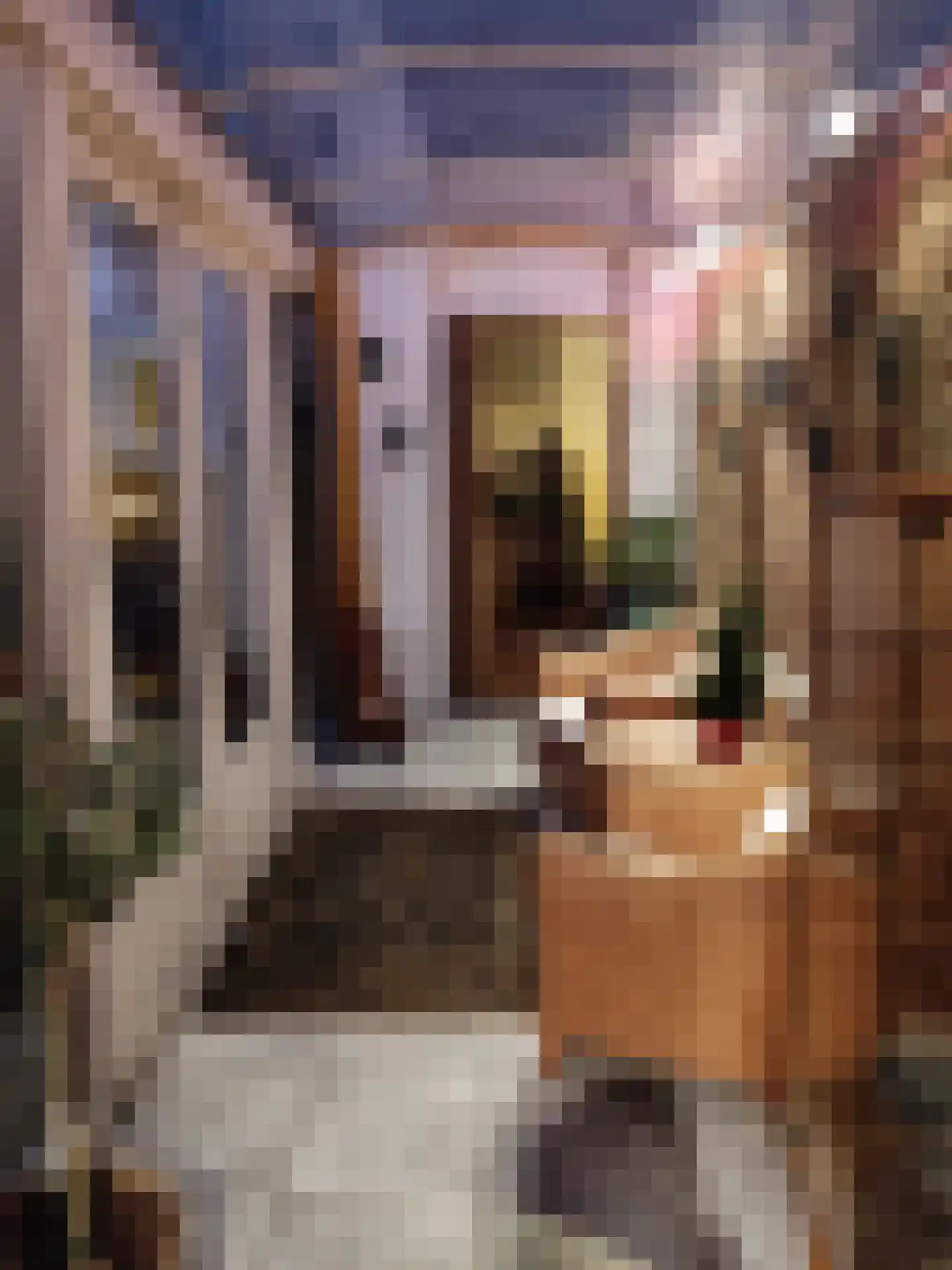 Oranjestraat 121 Arnhem thumbnail 13