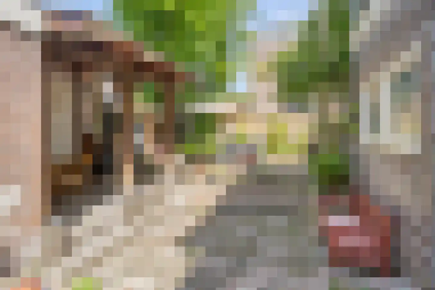Oranjestraat 121 Arnhem thumbnail 21