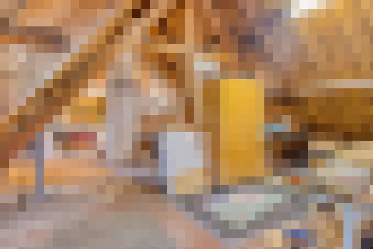 Oranjestraat 121 Arnhem thumbnail 33