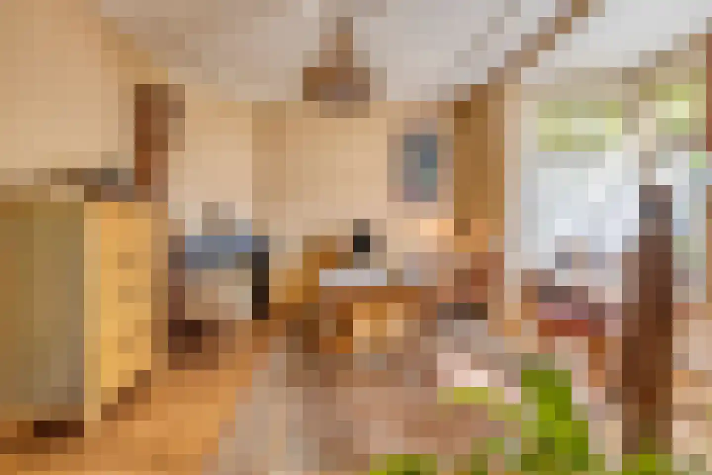Oranjestraat 121 Arnhem thumbnail 5