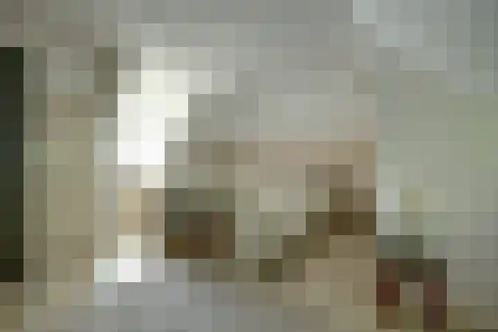Oranjestraat 121 Ridderkerk thumbnail 32