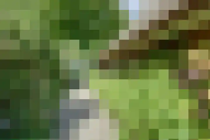 Oranjestraat 121 Ridderkerk thumbnail 43