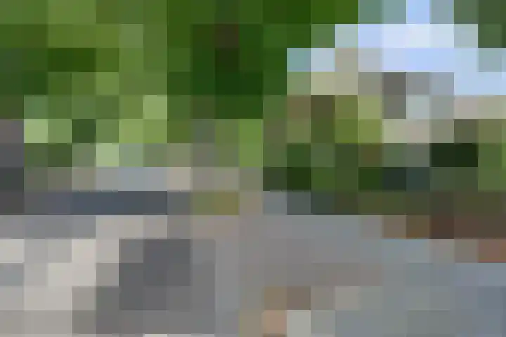 Oranjestraat 121 Ridderkerk thumbnail 51