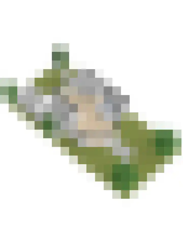 Oranjestraat 121 Ridderkerk thumbnail 65
