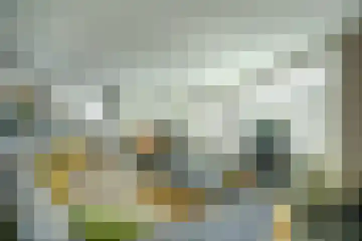 Oranjestraat 121 Ridderkerk thumbnail 8