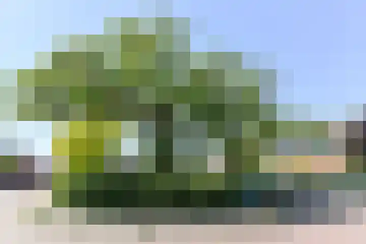 Oranjestraat 13 c Velp thumbnail 27