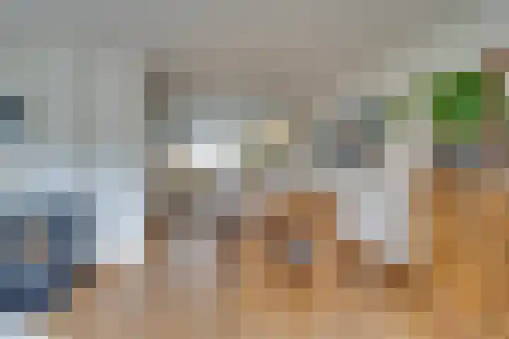 Oranjestraat 13 De Rijp thumbnail 15