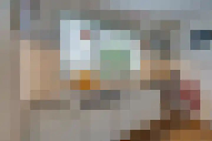Oranjestraat 13 De Rijp thumbnail 17