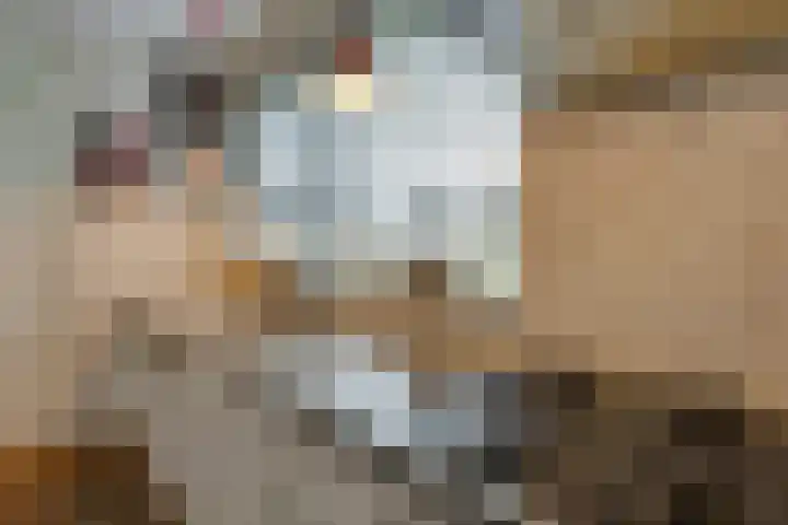 Oranjestraat 13 De Rijp thumbnail 19