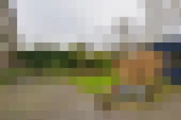 Oranjestraat 13 De Rijp thumbnail 22