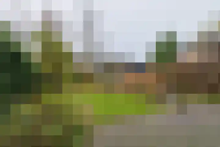 Oranjestraat 13 De Rijp thumbnail 23