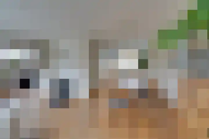 Oranjestraat 13 De Rijp thumbnail 7