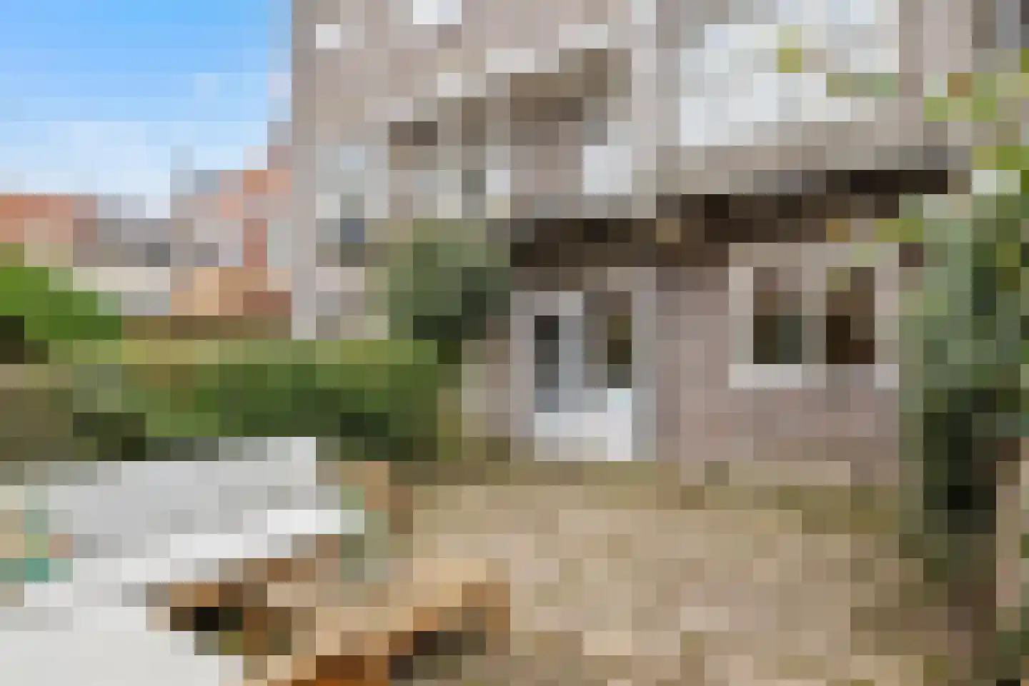 Oranjestraat 13 Haarlem thumbnail 21