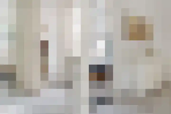 Oranjestraat 13 Hoogeveen thumbnail 20