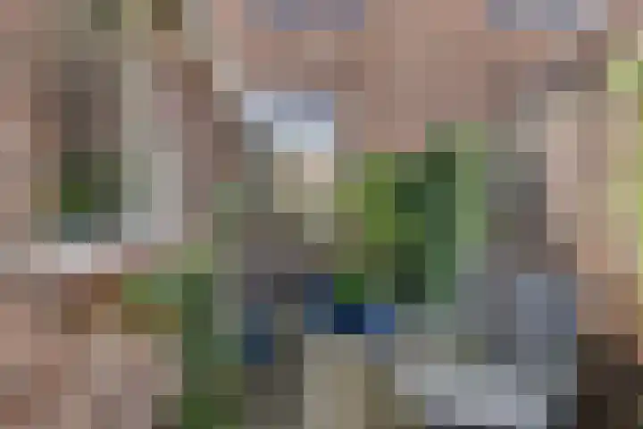 Oranjestraat 13 Hoogeveen thumbnail 28