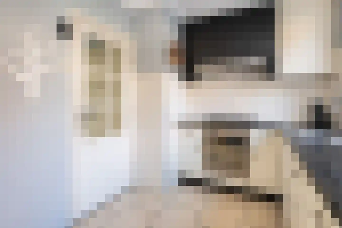 Oranjestraat 13 Sommelsdijk thumbnail 15