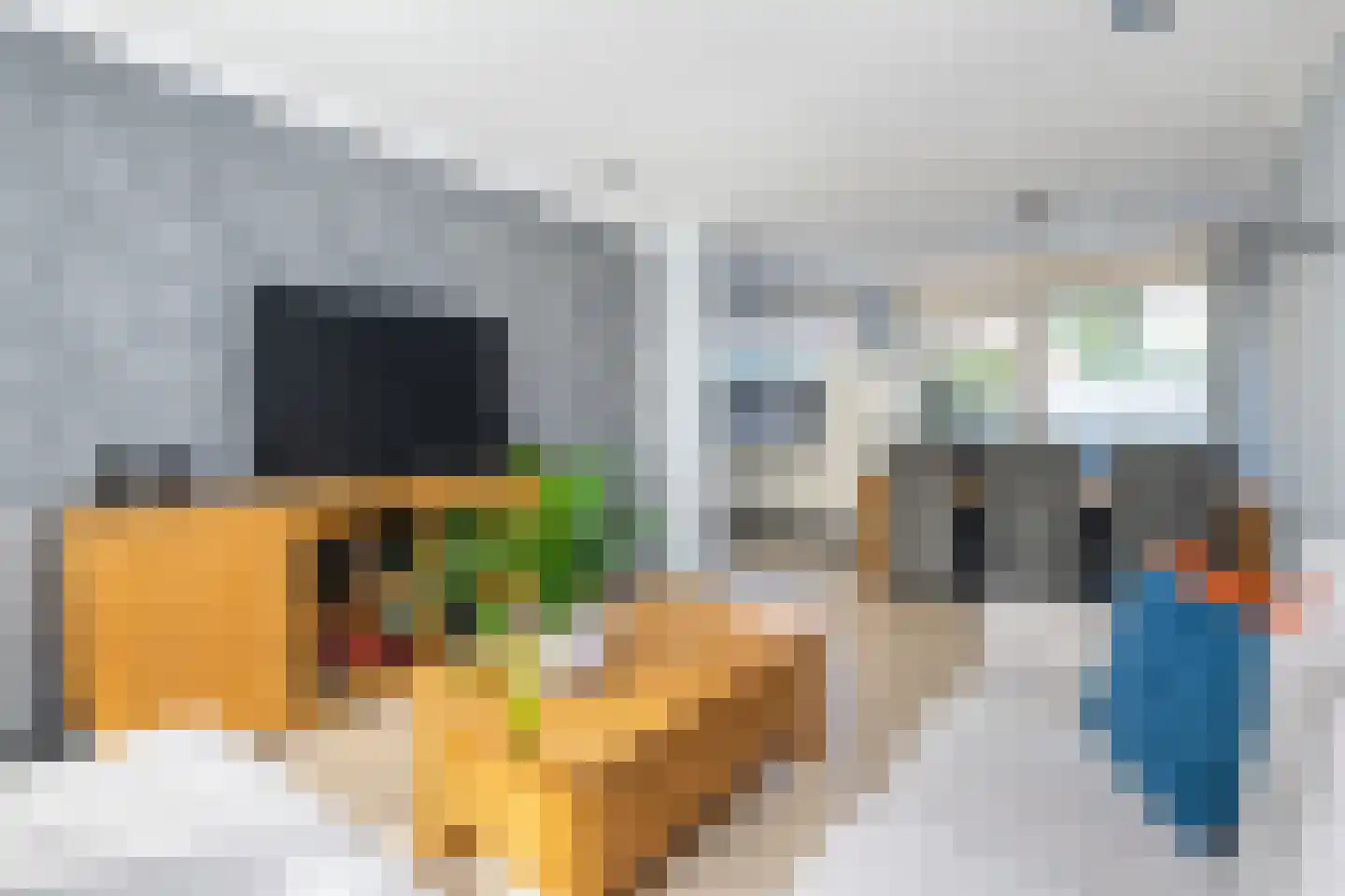 Oranjestraat 13 Sommelsdijk thumbnail 4