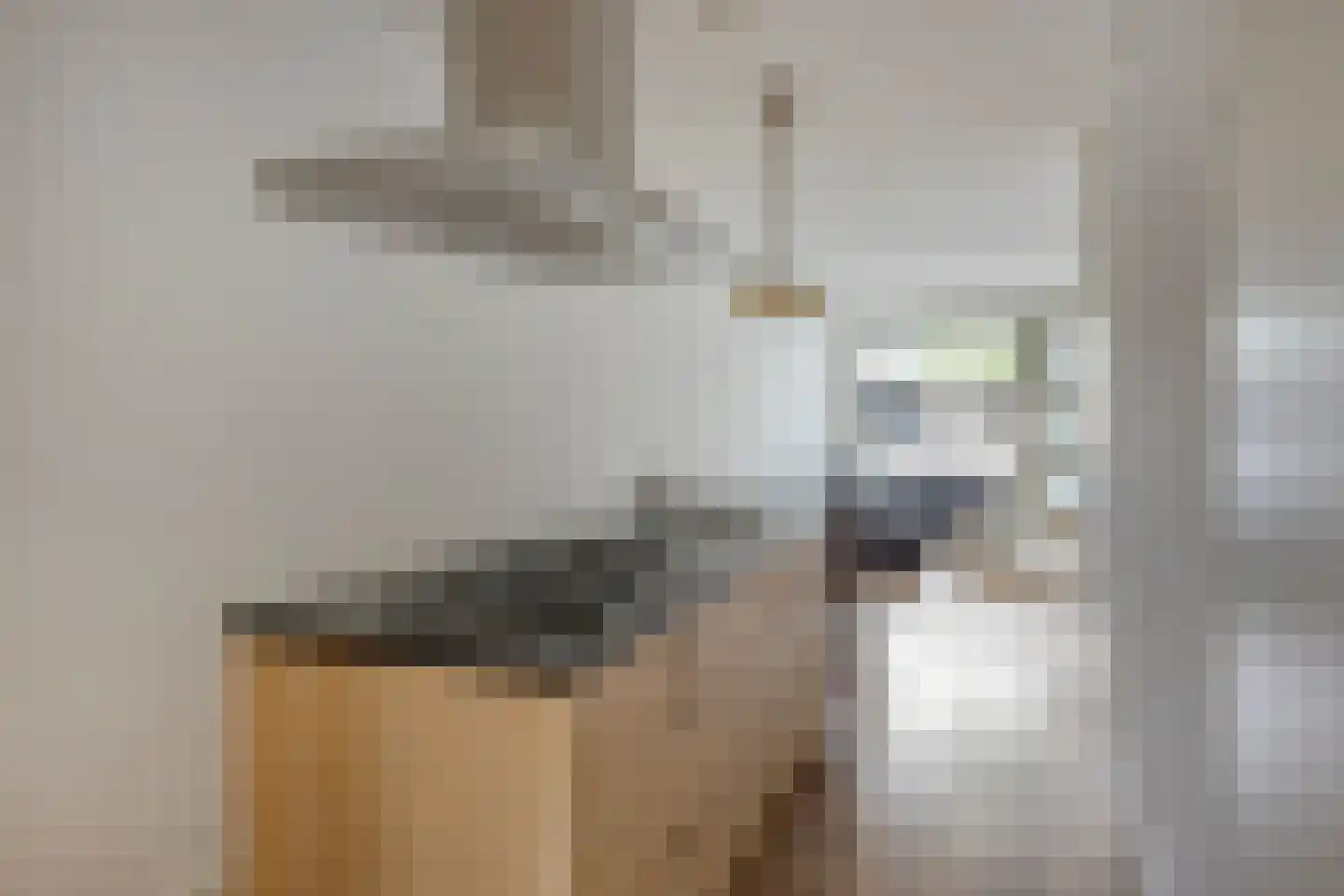 Oranjestraat 14 C Uden thumbnail 9