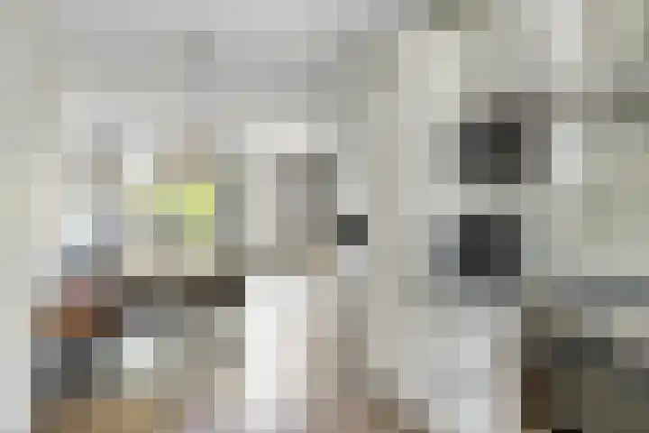 Oranjestraat 14 Ochten thumbnail 8