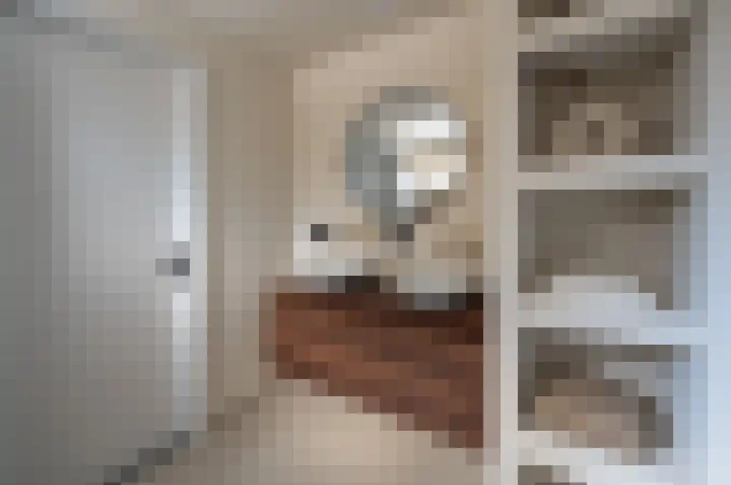 Oranjestraat 14 Rijsbergen thumbnail 30