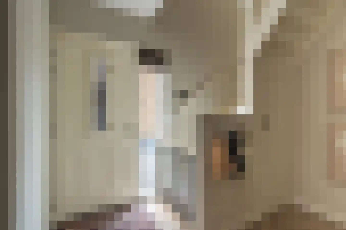 Oranjestraat 14 Rijsbergen thumbnail 9