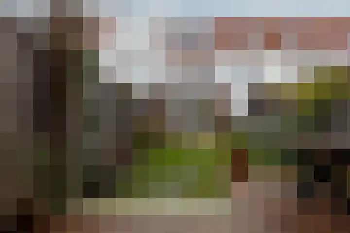 Oranjestraat 148 Haarlem thumbnail 31