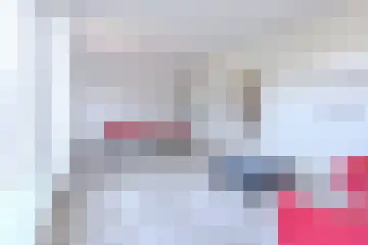 Oranjestraat 15 Everdingen thumbnail 13