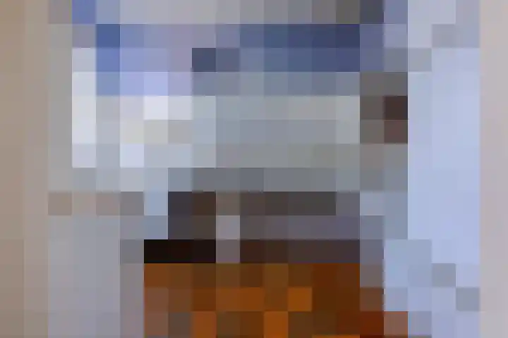 Oranjestraat 15 Everdingen thumbnail 16