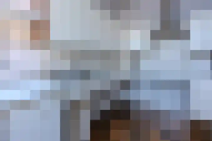 Oranjestraat 15 Everdingen thumbnail 20