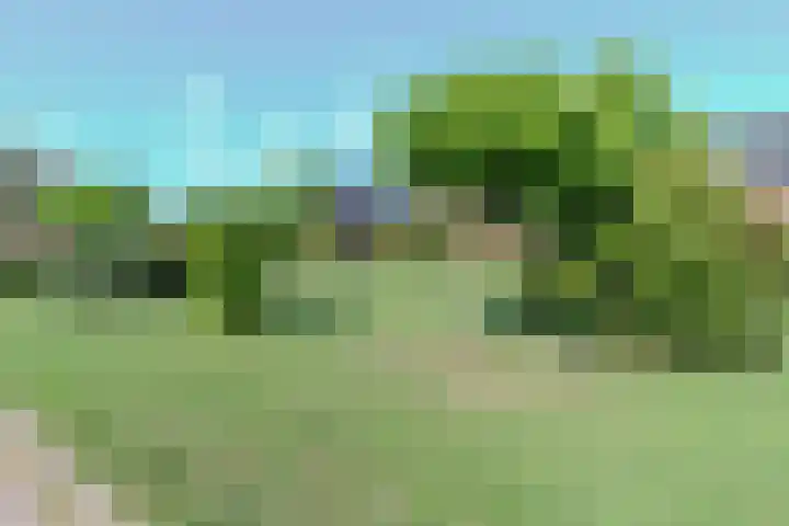 Oranjestraat 15 Everdingen thumbnail 40