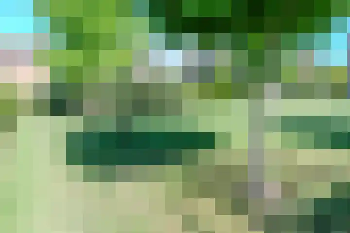 Oranjestraat 15 Everdingen thumbnail 41