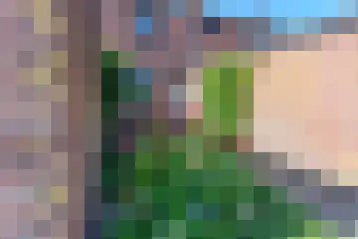Oranjestraat 15 Everdingen thumbnail 5