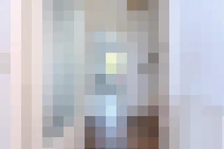 Oranjestraat 15 Everdingen thumbnail 8