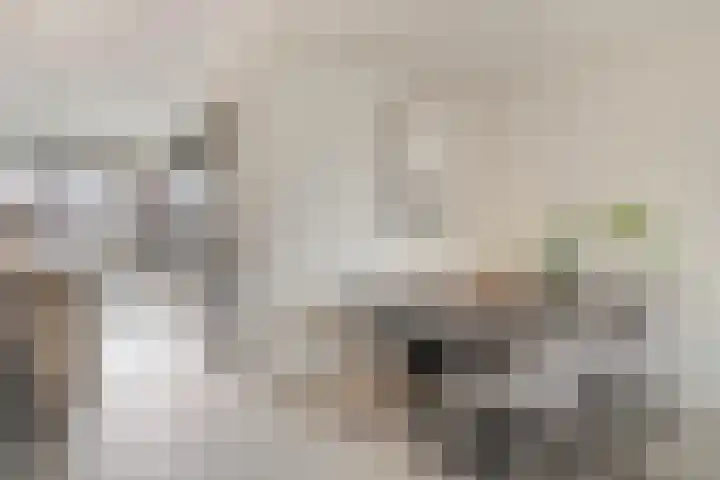 Oranjestraat 15 Lunteren thumbnail 10