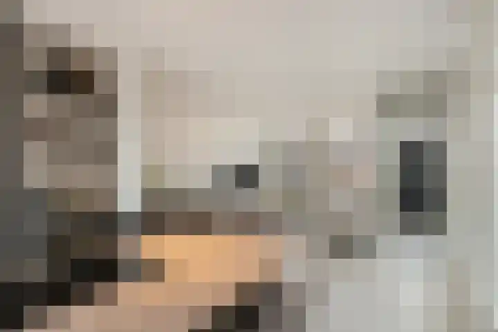 Oranjestraat 15 Lunteren thumbnail 17