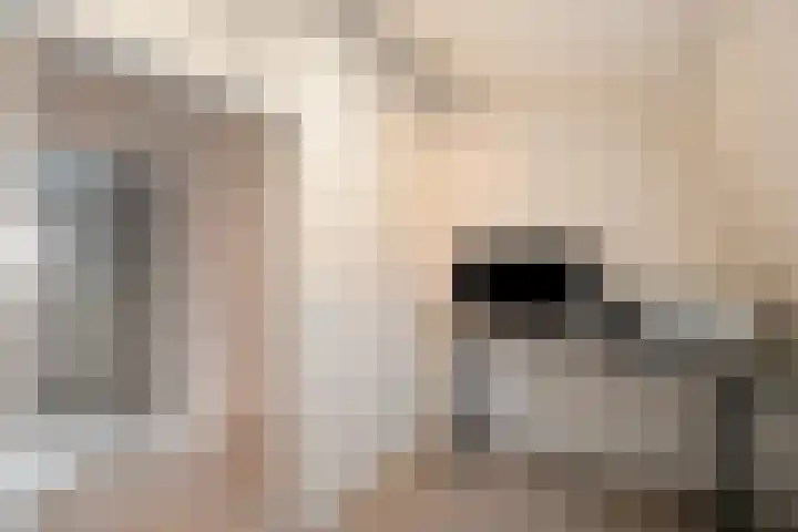 Oranjestraat 15 Lunteren thumbnail 33