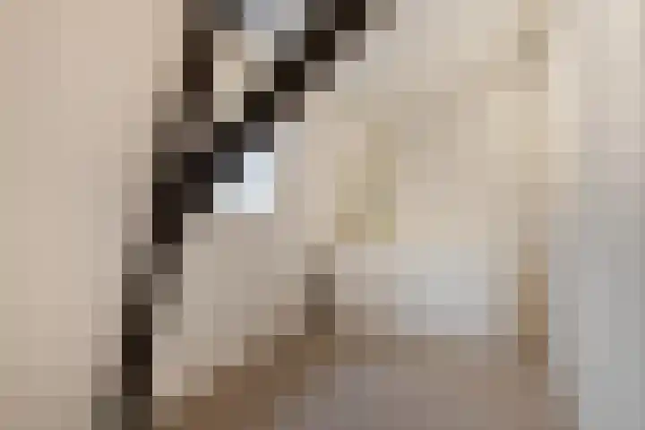 Oranjestraat 15 Lunteren thumbnail 34