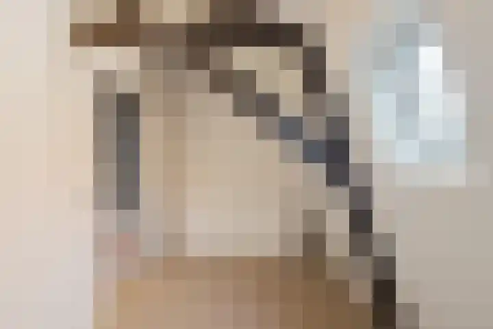 Oranjestraat 15 Lunteren thumbnail 35