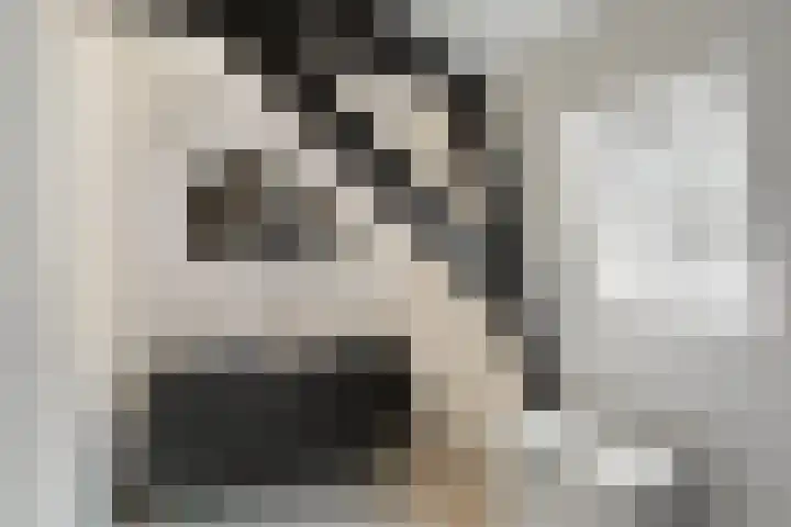 Oranjestraat 15 Lunteren thumbnail 37