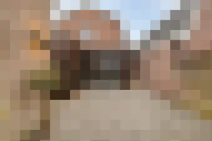 Oranjestraat 15 Lunteren thumbnail 39
